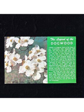 Vintage Postcard 1965 Legend Of The Dogwood Atlanta GA Christian Inspirational